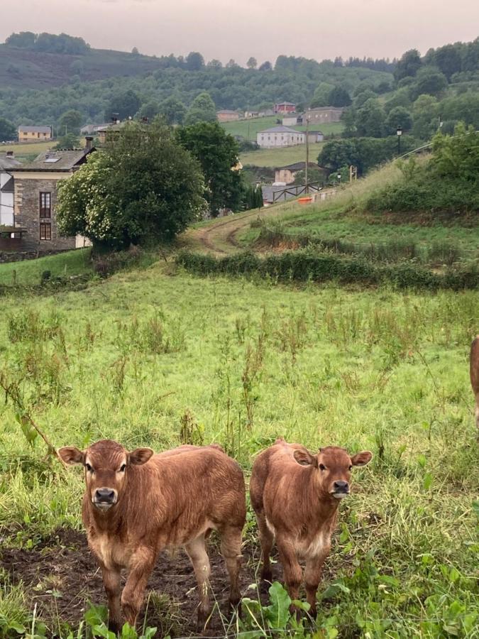 鲁拉尔卡萨别墅公寓 San Martin de Oscos 外观 照片